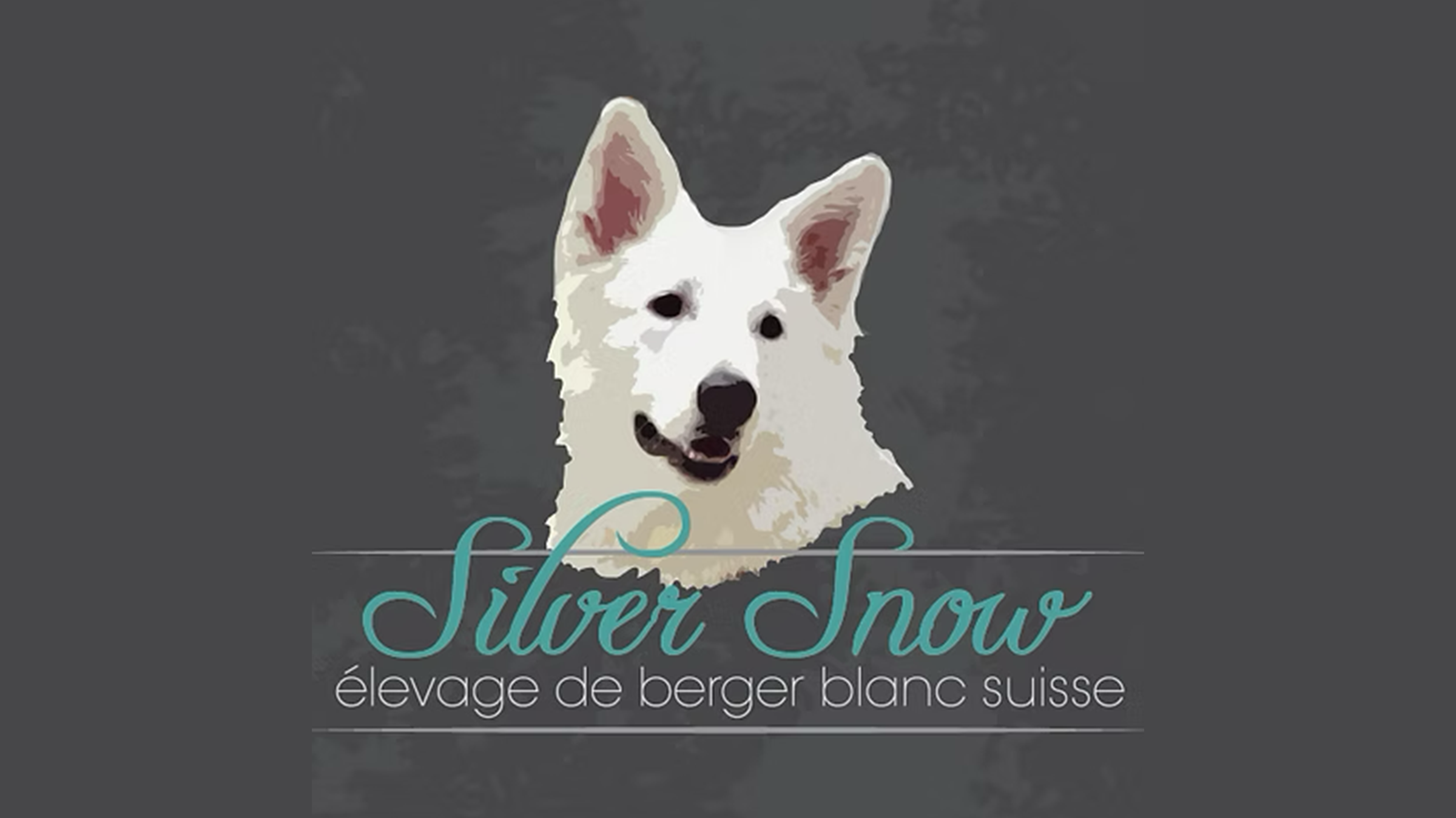 Élevage Silver Snow