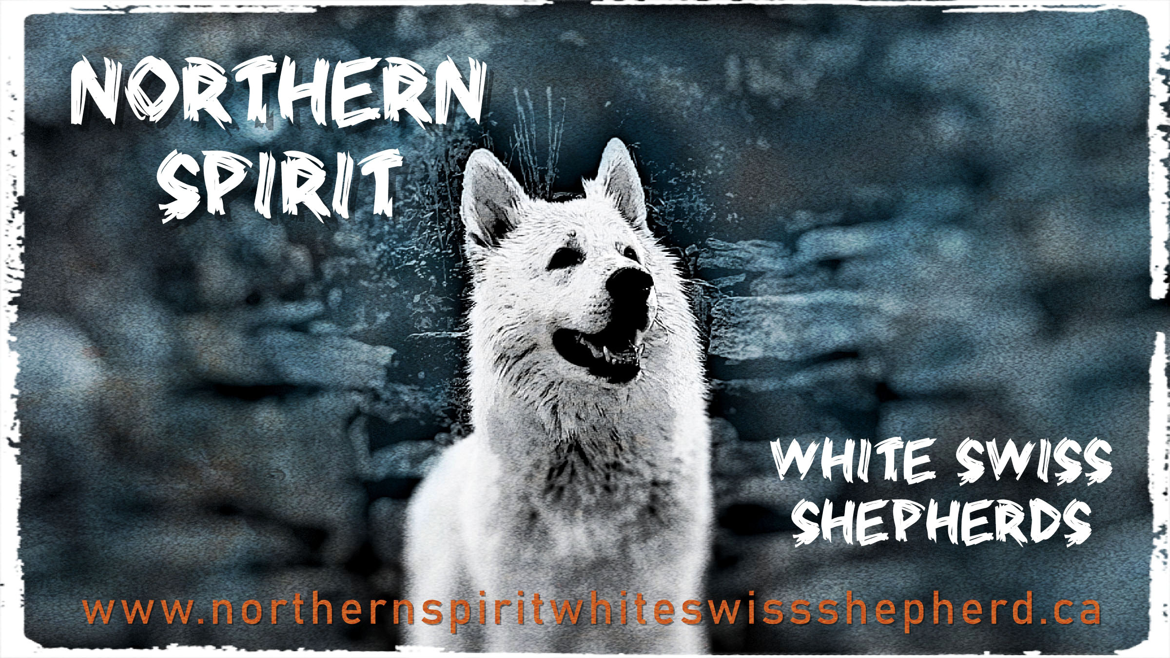Northern Spirit