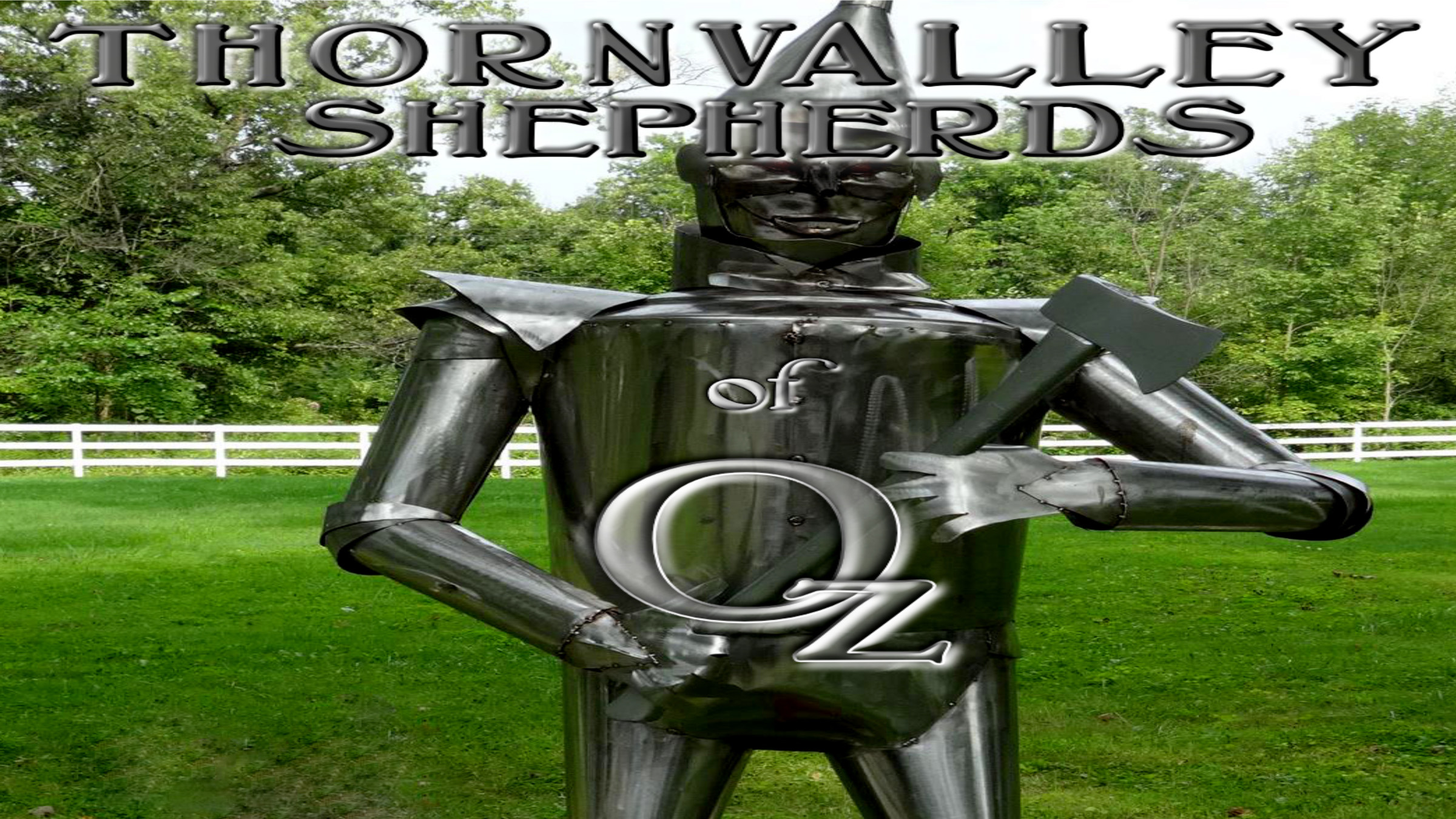 Thornvalley Shepherds